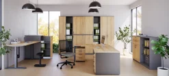 Aufsatzschrank E10 Natural Hickory Grau