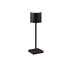 Reality Leuchten Akku Tischlampe Fernandez Schwarz